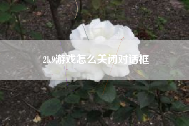 2k9游戏怎么关闭对话框  第1张