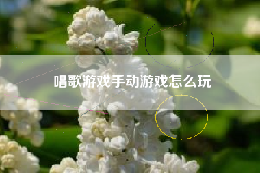 唱歌游戏手动游戏怎么玩  第1张