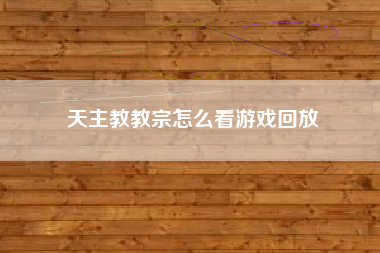 天主教教宗怎么看游戏回放