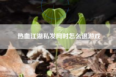 热血江湖私发网时怎么退游戏