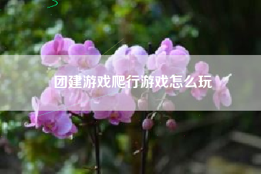 团建游戏爬行游戏怎么玩