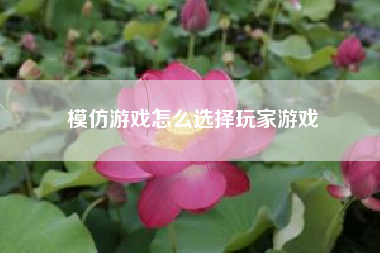 模仿游戏怎么选择玩家游戏