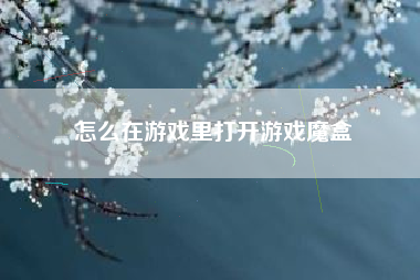 怎么在游戏里打开游戏魔盒