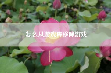 怎么从游戏库移除游戏