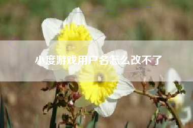 小度游戏用户名怎么改不了