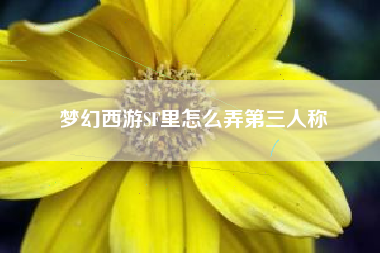 梦幻西游SF里怎么弄第三人称