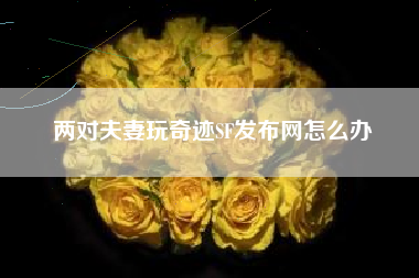 两对夫妻玩奇迹SF发布网怎么办