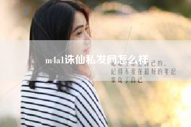 m4a1诛仙私发网怎么样