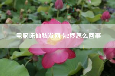 电脑诛仙私发网卡2秒怎么回事