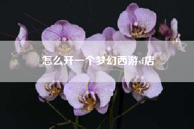 怎么开一个梦幻西游sf店  第1张