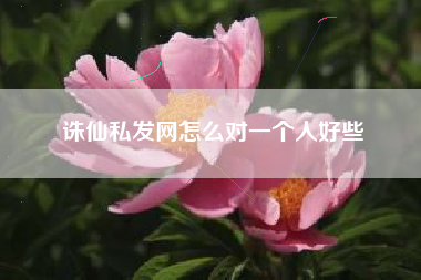 诛仙私发网怎么对一个人好些