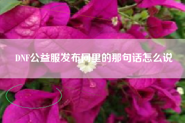 DNF公益服发布网里的那句话怎么说