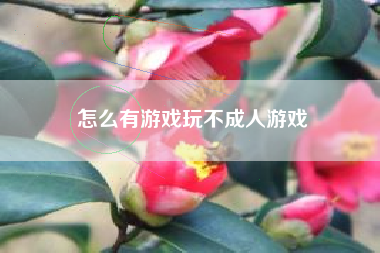 怎么有游戏玩不成人游戏