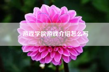 游戏学院游戏介绍怎么写