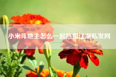 小米斗地主怎么一起热血江湖私发网