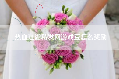 热血江湖私发网游戏豆怎么奖励