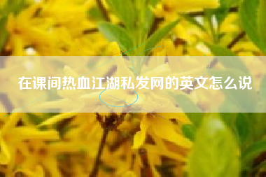 在课间热血江湖私发网的英文怎么说