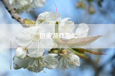抢麦游戏怎么