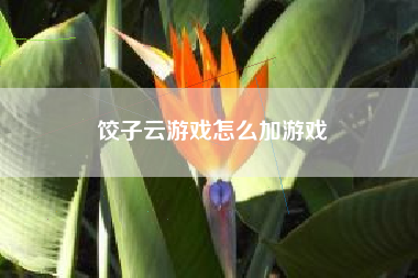饺子云游戏怎么加游戏