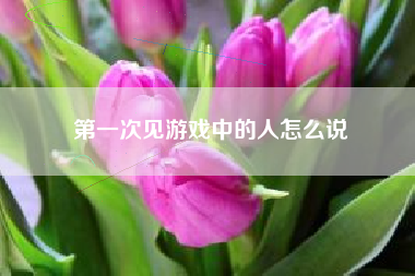 第一次见游戏中的人怎么说