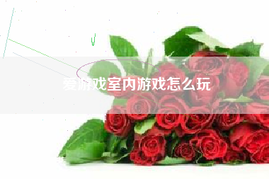 爱游戏室内游戏怎么玩