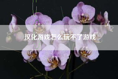 汉化游戏怎么玩不了游戏