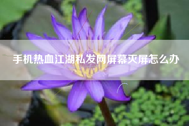 手机热血江湖私发网屏幕灭屏怎么办