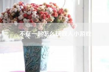 不在一起怎么玩双人小游戏