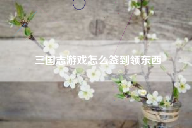 三国志游戏怎么签到领东西  第1张