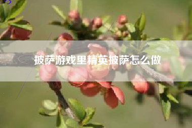 披萨游戏里精英披萨怎么做