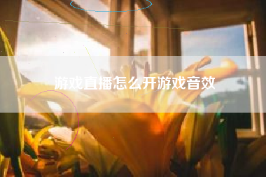游戏直播怎么开游戏音效