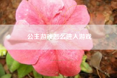 公主游戏怎么进入游戏