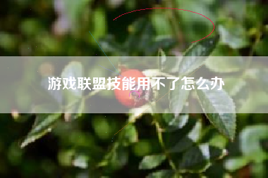 游戏联盟技能用不了怎么办