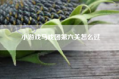 小游戏马戏团第六关怎么过