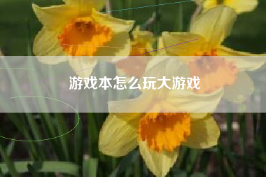 游戏本怎么玩大游戏