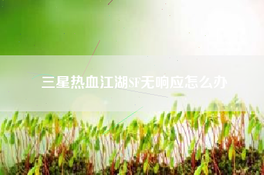 三星热血江湖SF无响应怎么办