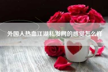 外国人热血江湖私发网的感觉怎么样