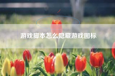 游戏脚本怎么隐藏游戏图标