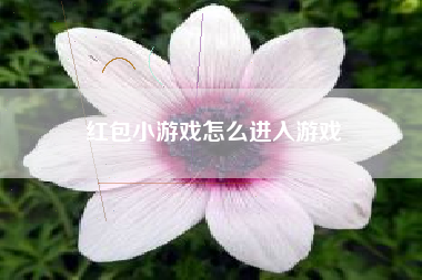 红包小游戏怎么进入游戏