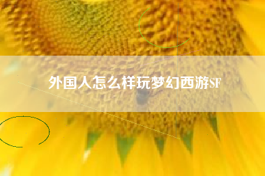 外国人怎么样玩梦幻西游SF