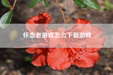 怀念老游戏怎么下载游戏