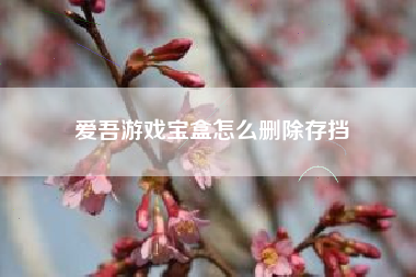 爱吾游戏宝盒怎么删除存挡