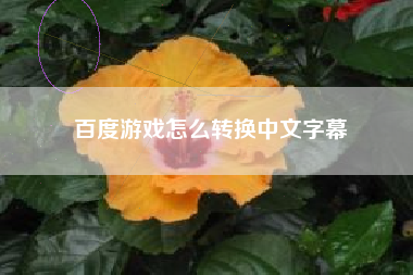 百度游戏怎么转换中文字幕