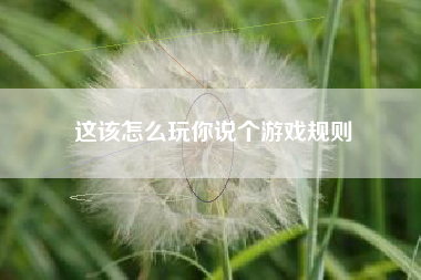 这该怎么玩你说个游戏规则