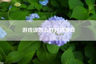 游戏该怎么打好的游戏