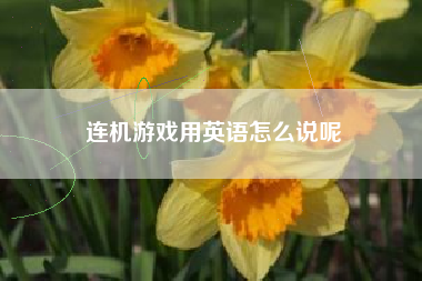 连机游戏用英语怎么说呢