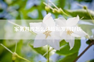 家务游戏怎么诛仙私发网好玩