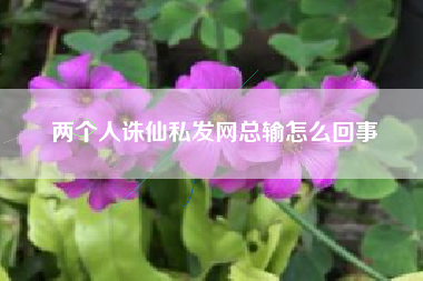 两个人诛仙私发网总输怎么回事