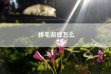 拔毛游戏怎么