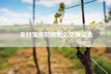 支付宝充游戏怎么交保证金